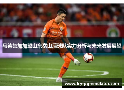 马德鲁加加盟山东泰山后球队实力分析与未来发展展望