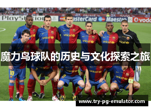 魔力鸟球队的历史与文化探索之旅