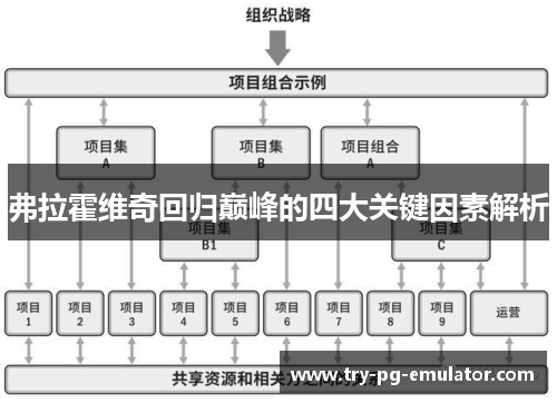 弗拉霍维奇回归巅峰的四大关键因素解析 弗拉霍维奇回归巅峰的四大关键因素解析